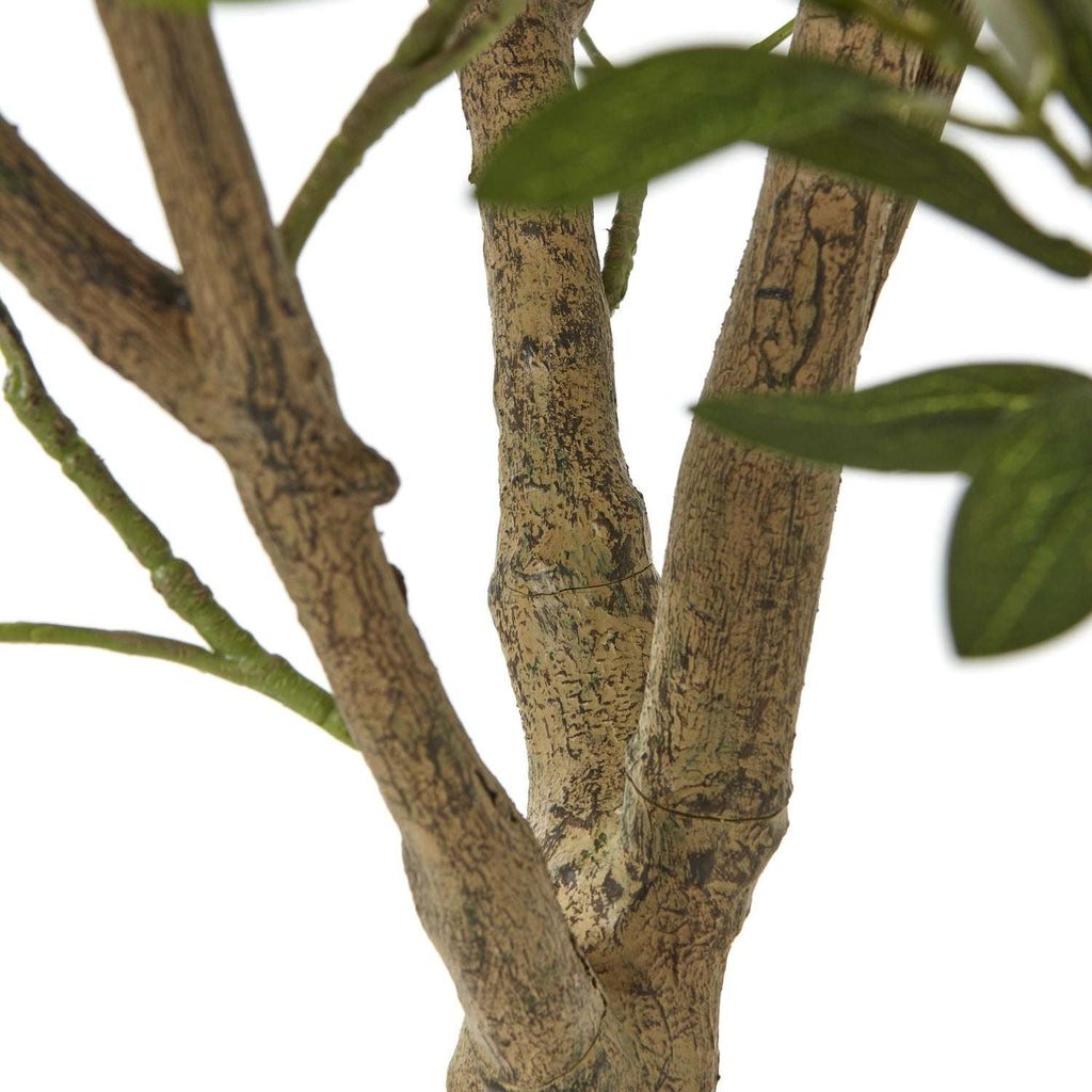 Apulia Olive Tree In White Pot 240Cm Shades 4 Seasons