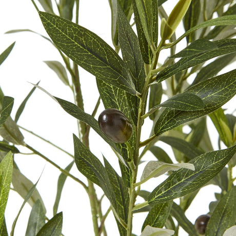Apulia Olive Tree In White Pot 150Cm Shades 4 Seasons