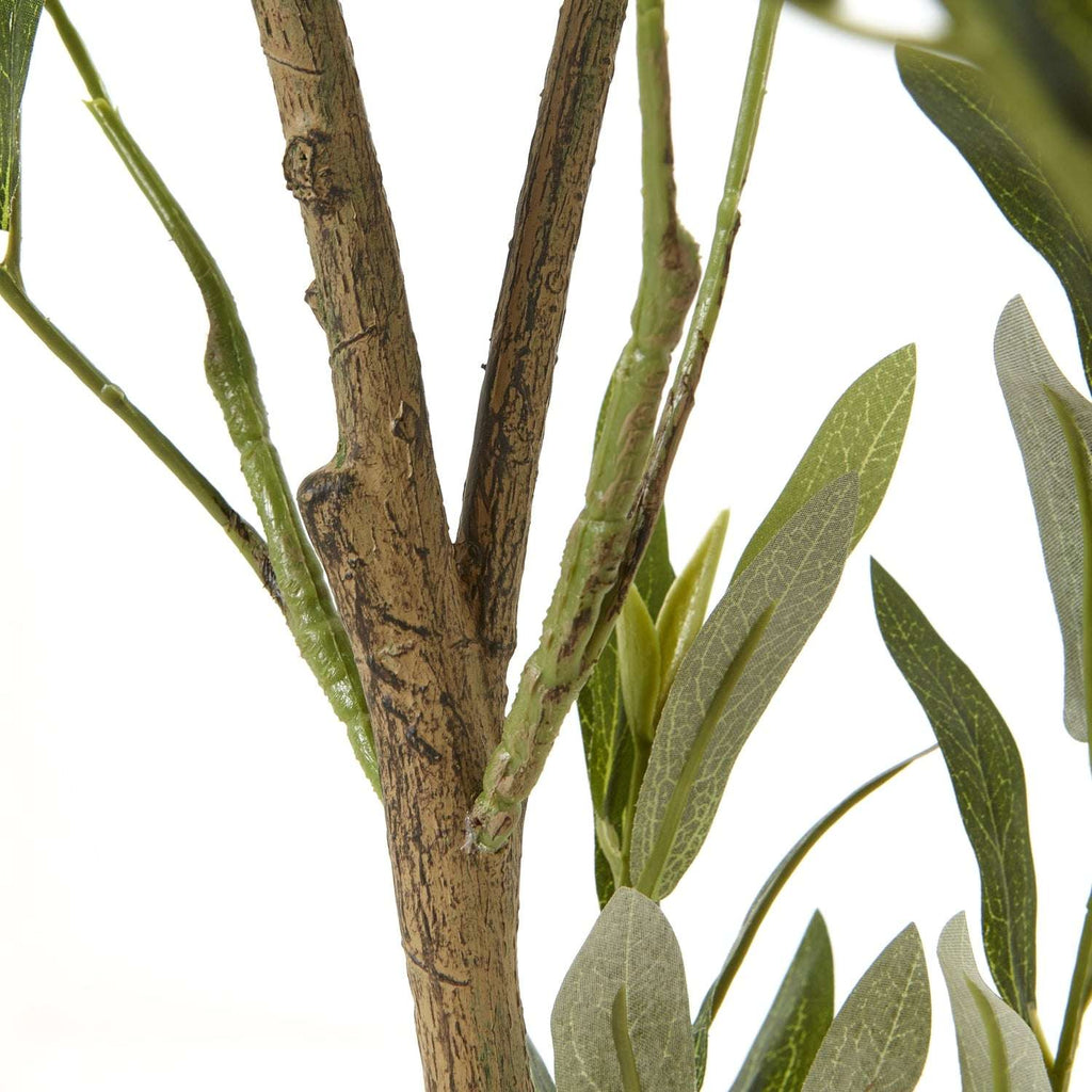 Apulia Olive Tree In White Pot 150Cm Shades 4 Seasons
