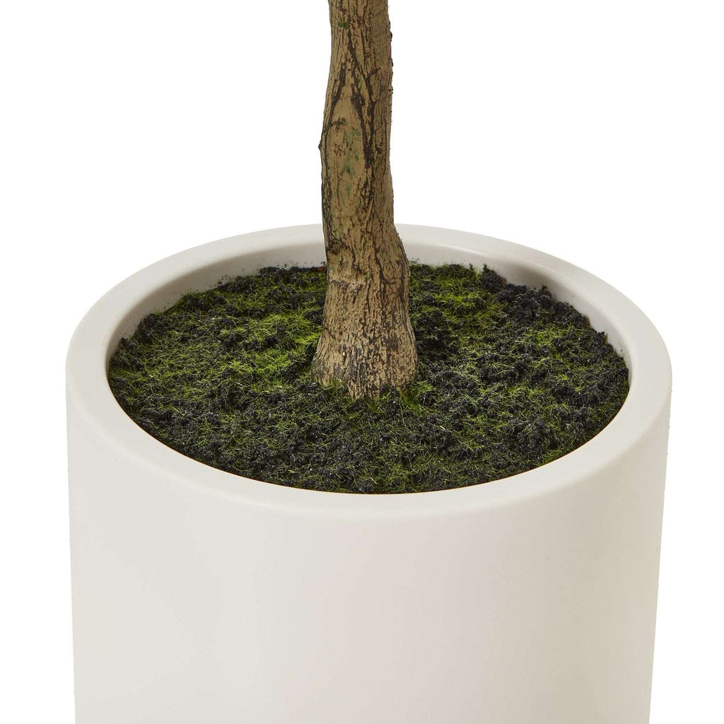 Apulia Olive Tree In White Pot 150Cm Shades 4 Seasons