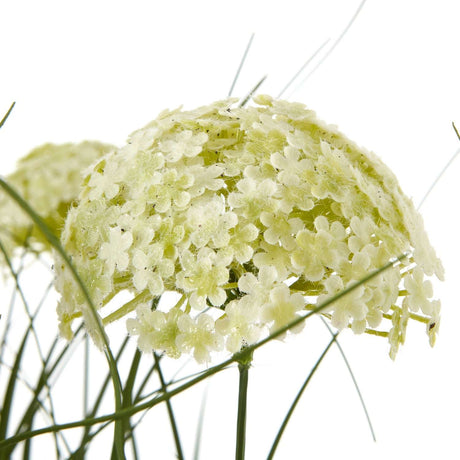 Shades 4 Seasons Allium Plant - Stylish Potted Floral Decor Shades 4 Seasons