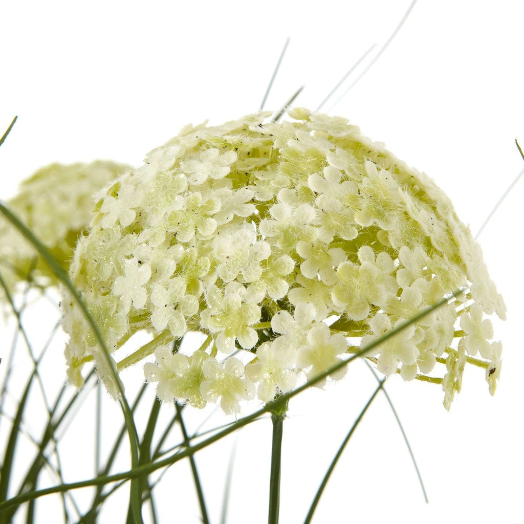 Shades 4 Seasons Allium Plant - Stylish Potted Floral Decor Shades 4 Seasons