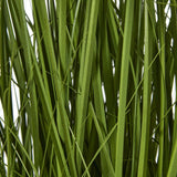 Shades 4 Seasons Allium Plant - Stylish Potted Floral Decor Shades 4 Seasons