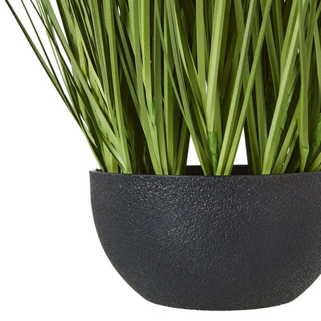 Shades 4 Seasons Allium Plant - Stylish Potted Floral Decor Shades 4 Seasons