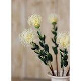 Shades 4 Seasons Protea Spray for Stylish Decor Shades 4 Seasons