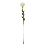 Shades 4 Seasons Protea Spray for Stylish Decor CREAM PLASTIC Shades 4 Seasons
