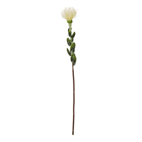 Shades 4 Seasons Protea Spray for Stylish Decor CREAM PLASTIC Shades 4 Seasons