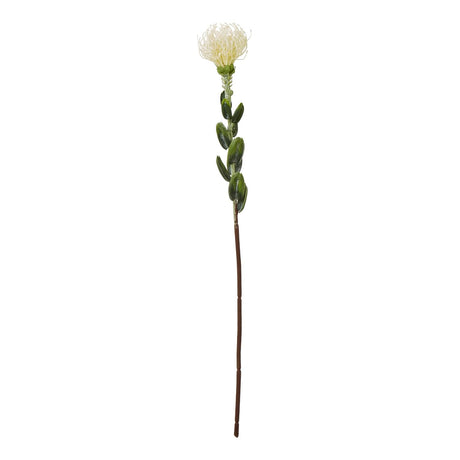 Shades 4 Seasons Protea Spray for Stylish Decor CREAM PLASTIC Shades 4 Seasons