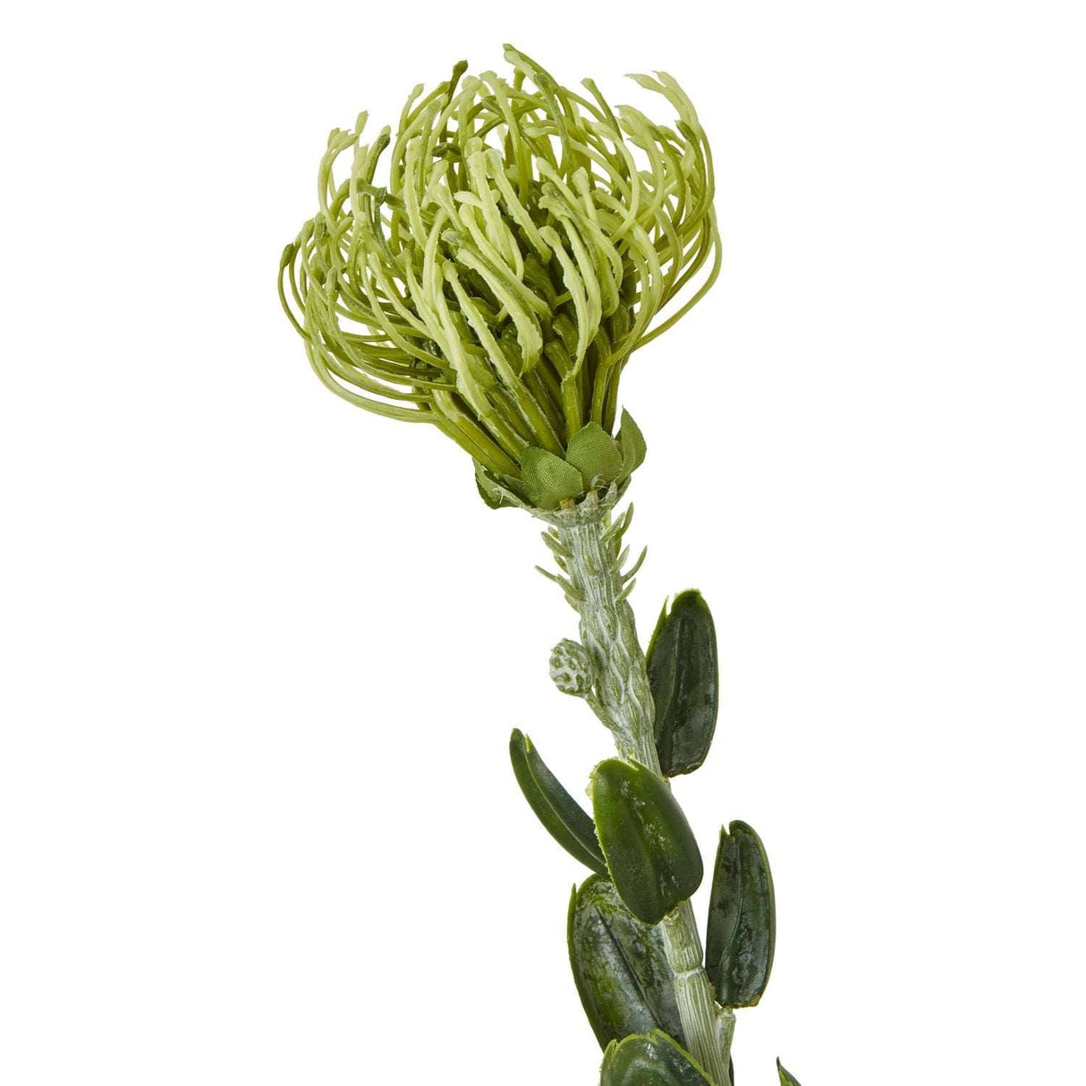 Shades 4 Seasons Protea Spray for Stylish Home Decor Shades 4 Seasons