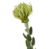 Shades 4 Seasons Protea Spray for Stylish Home Decor Shades 4 Seasons