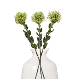 Shades 4 Seasons Protea Spray for Stylish Home Decor Shades 4 Seasons