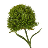 Shades 4 Seasons Dianthus Stem for Stylish Home Decor Shades 4 Seasons