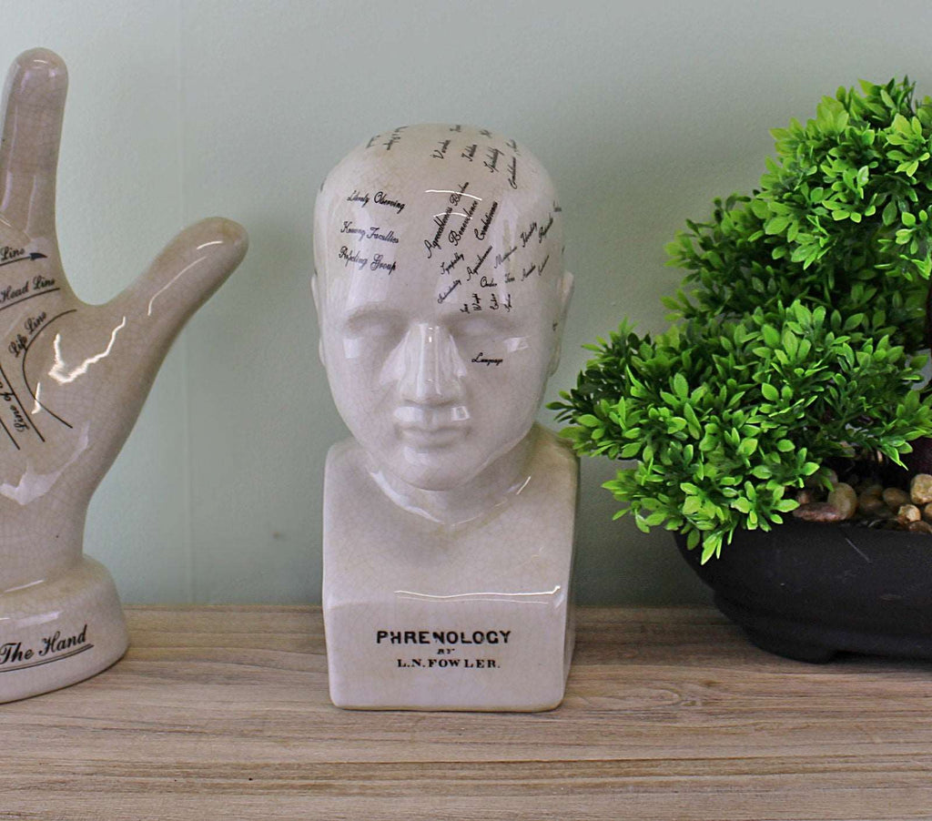 Small Ceramic Phrenology Head 19cm Geko Products