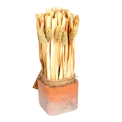 Fox Tail Dried Grass Bouquet in Terracotta Pot - Large - Shades 4 Seasons