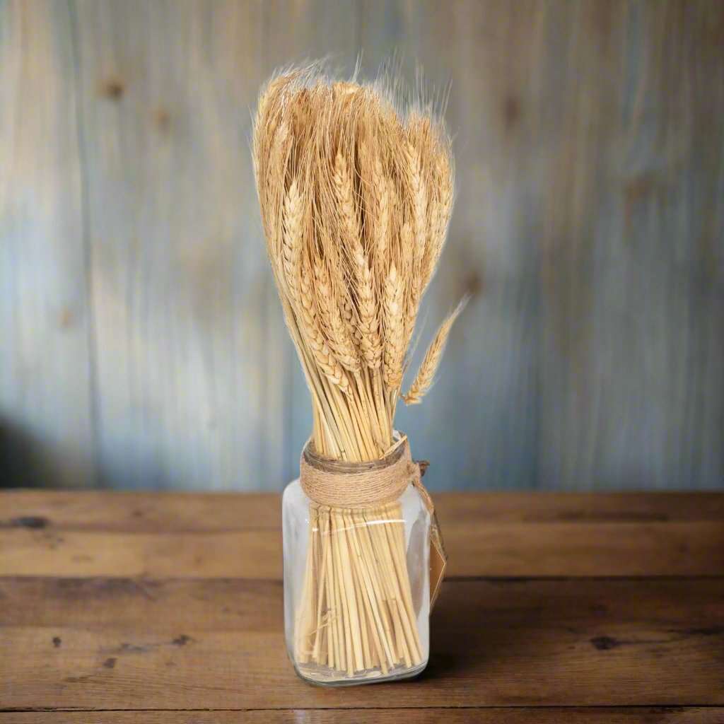 Dried Barley Bouquet in Glass Jar 40cm Geko Products