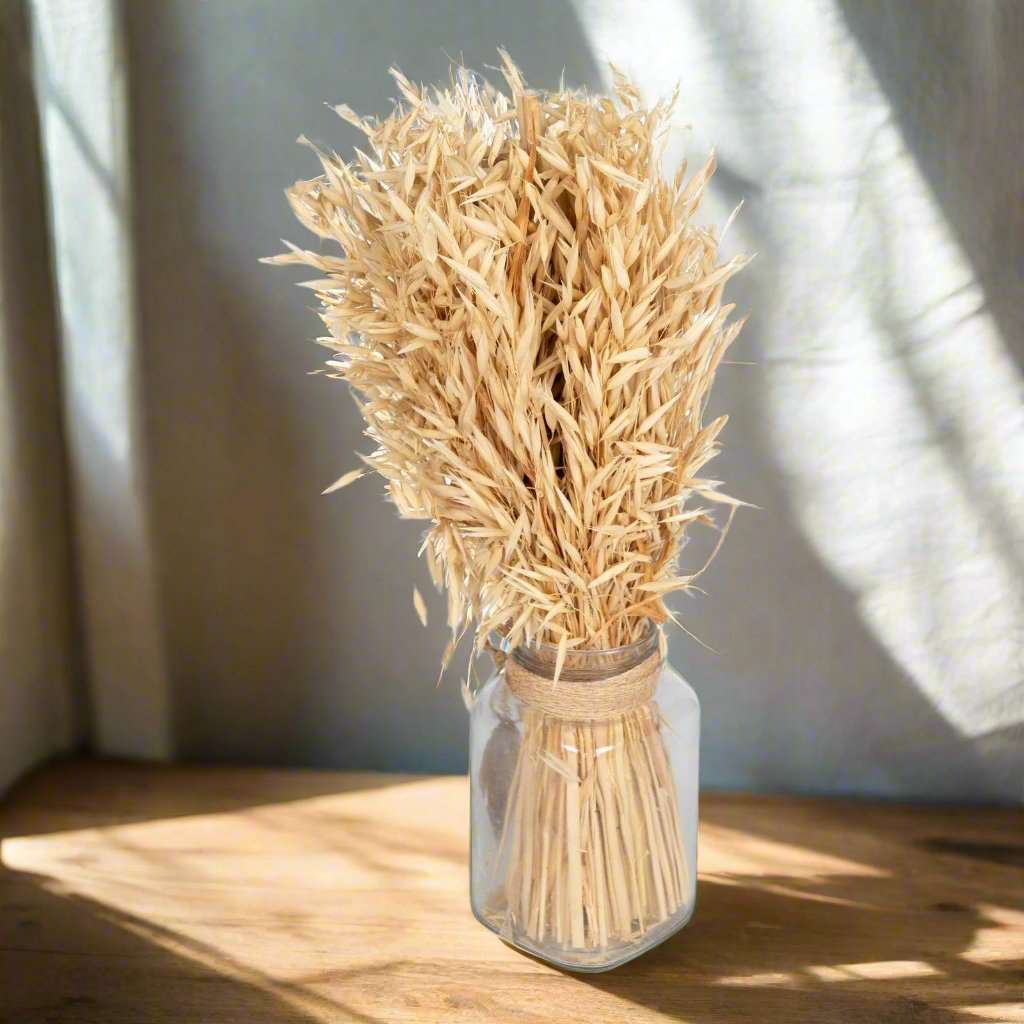 Dried Oat Bouquet in Glass Jar 40cm Geko Products