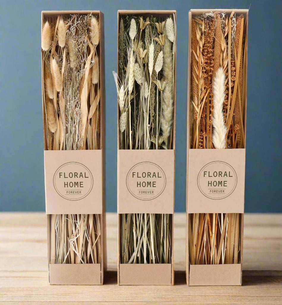 Set of 3 Dried Grasses in Display Box Geko Products