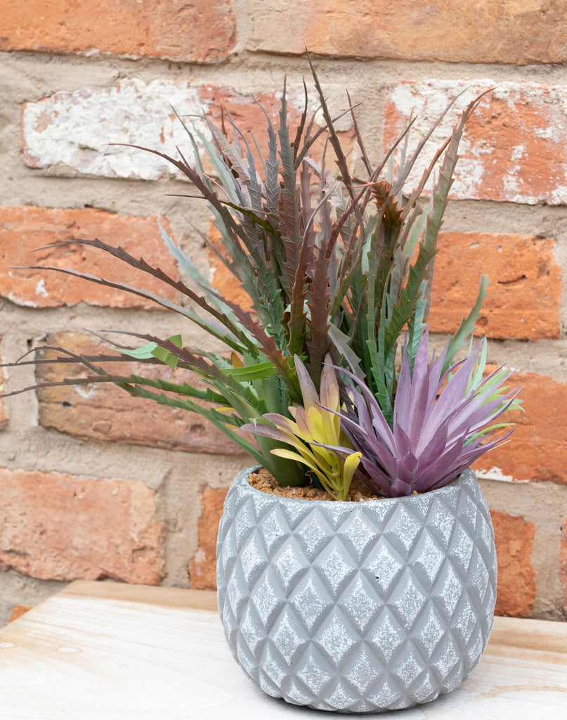 Succulents in Large Lattice Design Grey Pot Geko Products