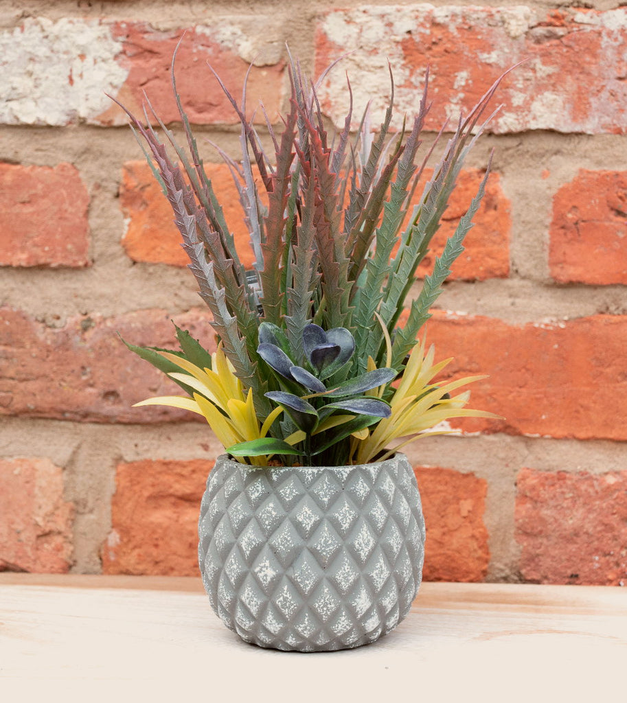 Succulents in Small Lattice Design Grey Pot Geko Products