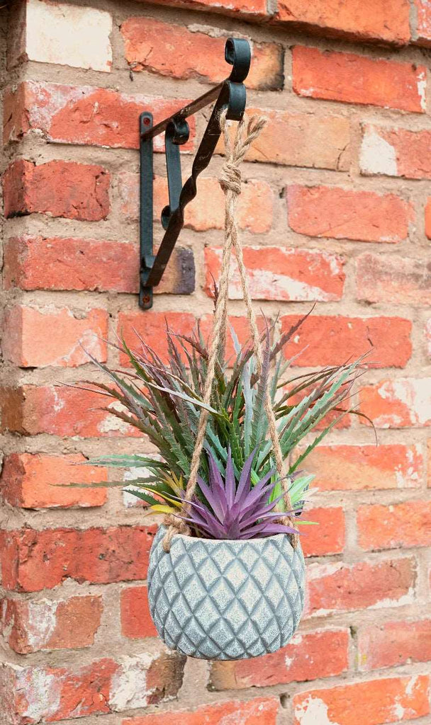 Hanging Succulents in Lattice Design Large Grey Pot Geko Products