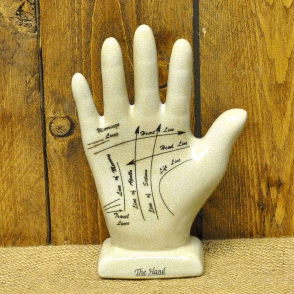 Palmistry Hand 21cm Geko Products