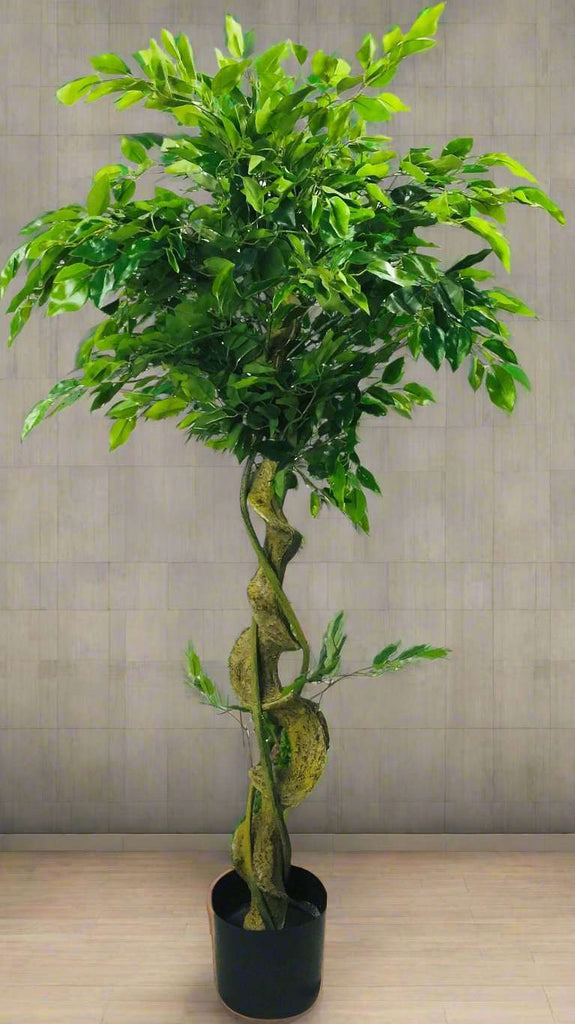 Artificial Ficus Tree With Twisted Trunk 137cm Geko Products