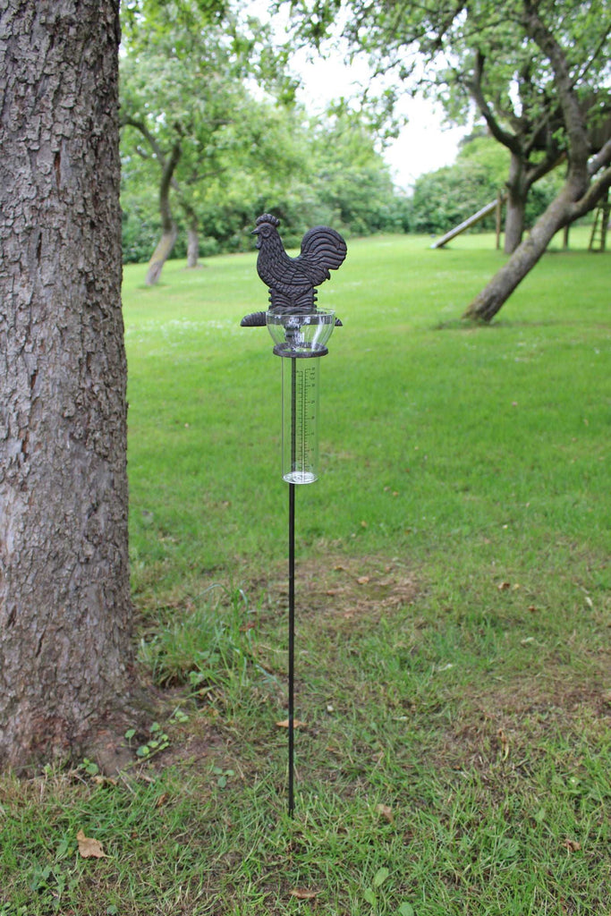 Cast Iron and Glass Garden Rain Gauge, Chicken Geko Products