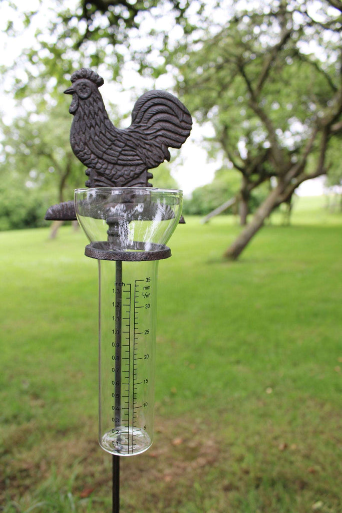 Cast Iron and Glass Garden Rain Gauge, Chicken Geko Products