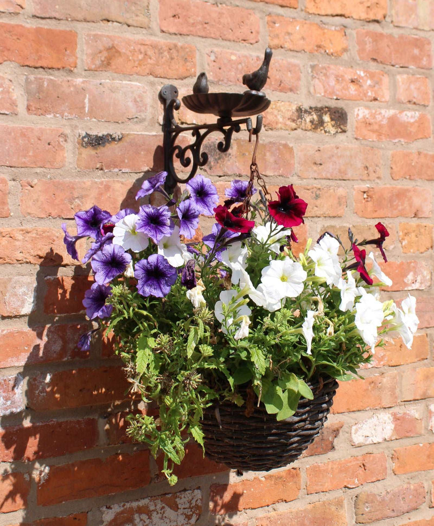 Cast Iron Hanging Basket Wall Bracket With Bird Feeder Geko Products