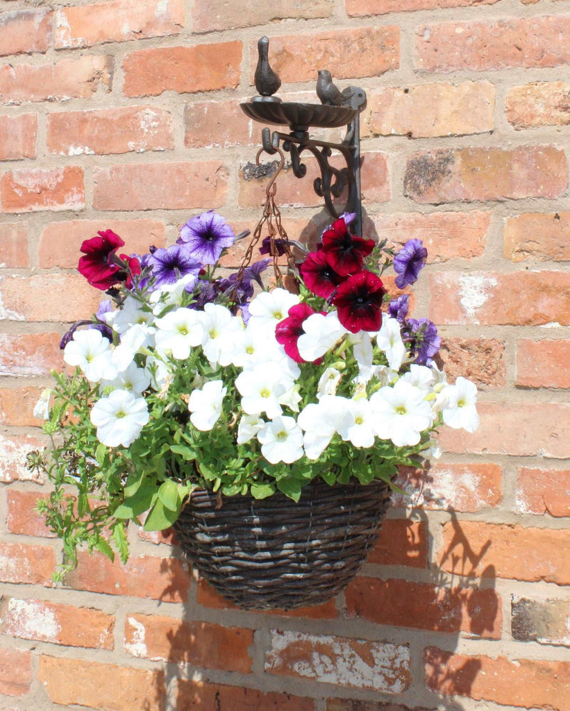 Cast Iron Hanging Basket Wall Bracket With Bird Feeder Geko Products