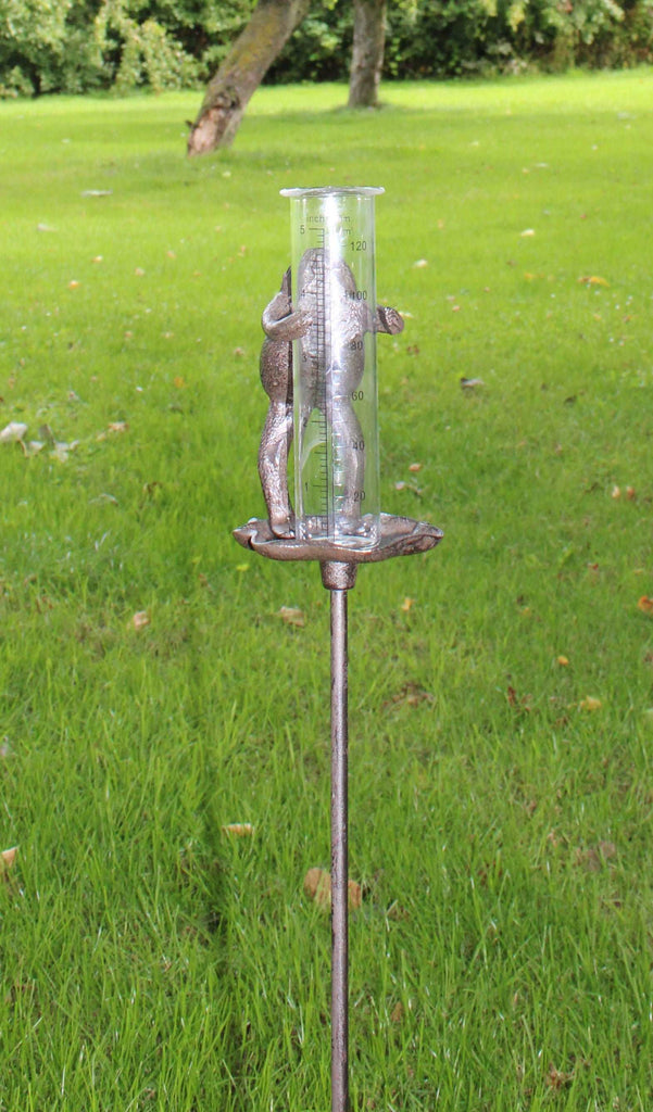 Cast Iron and Glass Garden Rain Gauge, Frog On Lily Pad Geko Products