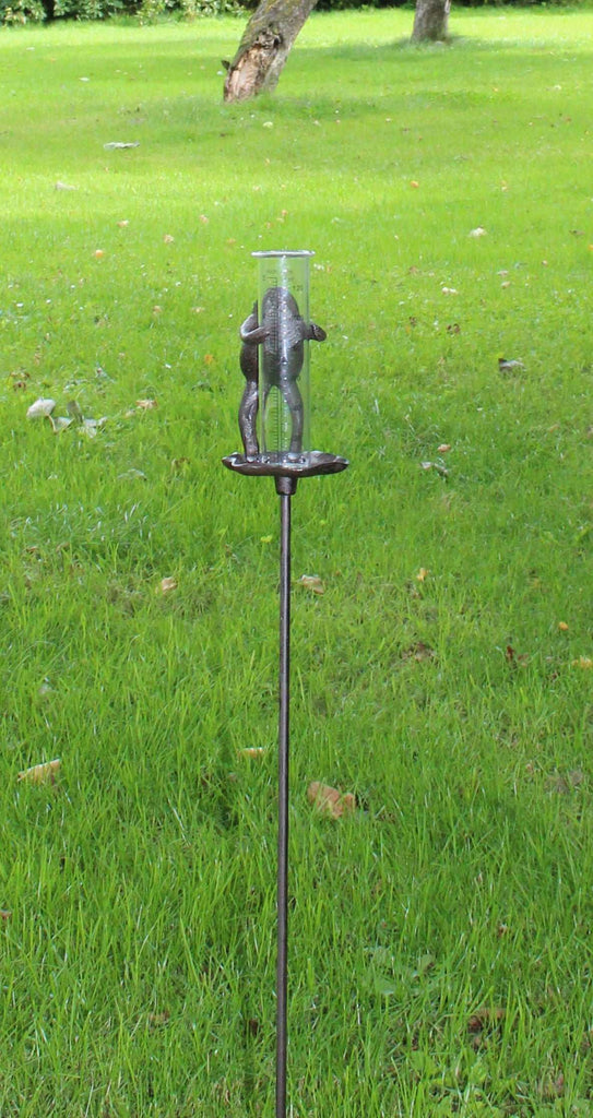 Cast Iron and Glass Garden Rain Gauge, Frog On Lily Pad Geko Products