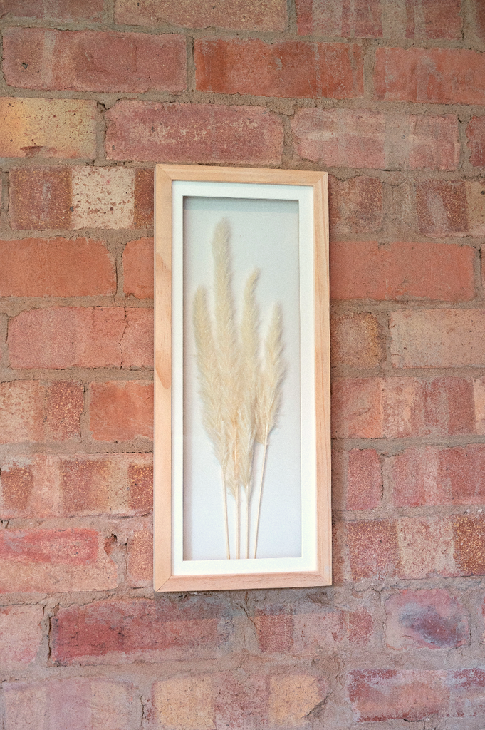 White Pampas In Rectangular Frame 50cm Geko Products