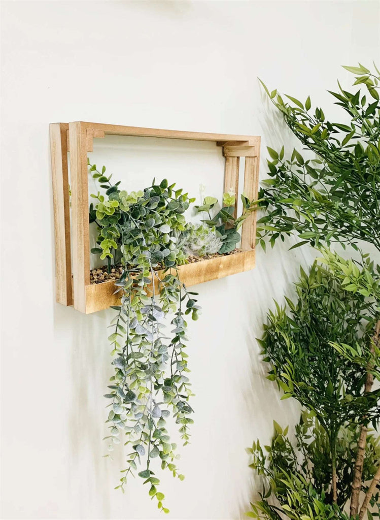 Modern Succulent Wall Crate Shelf Geko Products