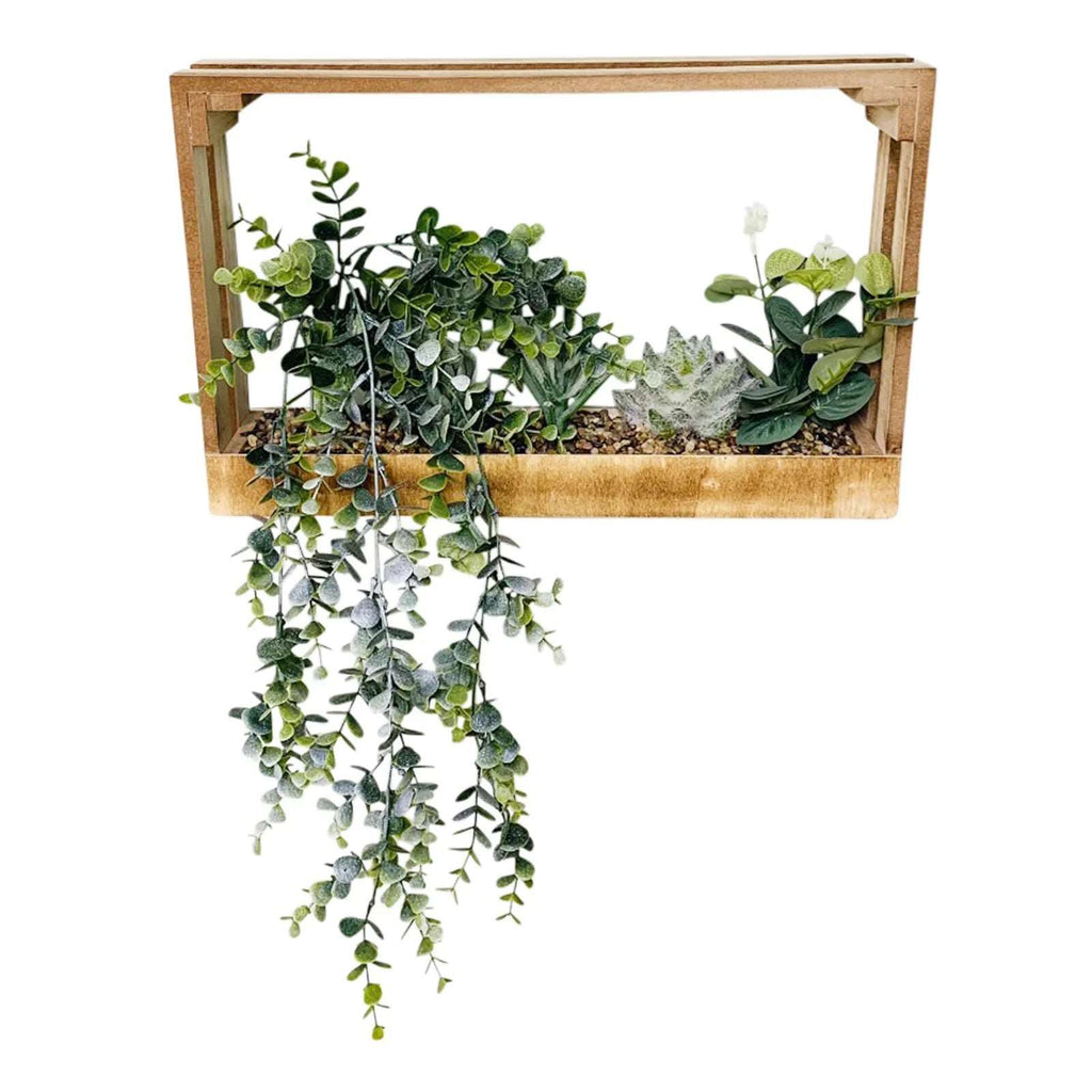 Modern Succulent Wall Crate Shelf Geko Products