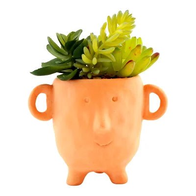 Face Terracotta Pot With Faux Cacti Small - Shades 4 Seasons
