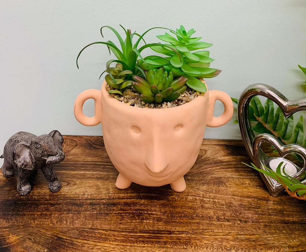 Face Terracotta Pot With Faux Cacti Large Geko Products