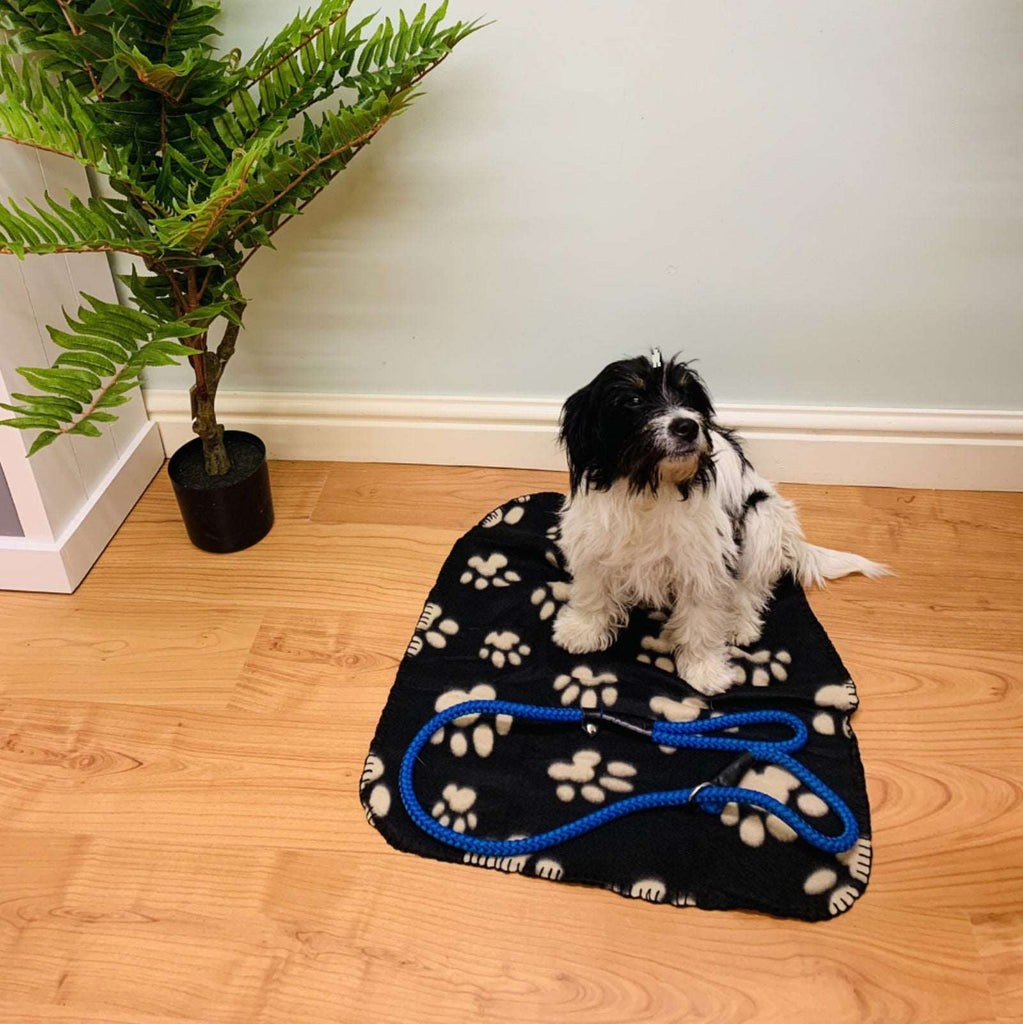 Black Paw Print Fleece Throw 60cm Geko Products