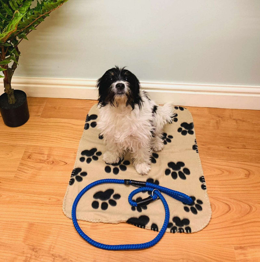 Brown Paw Print Fleece Throw 60cm Geko Products