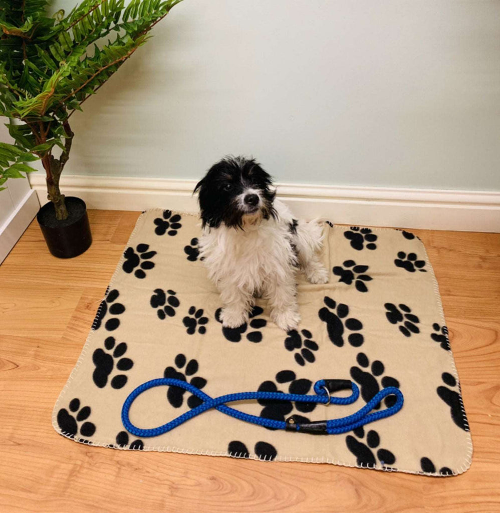 Brown Paw Print Fleece Throw 80cm Geko Products