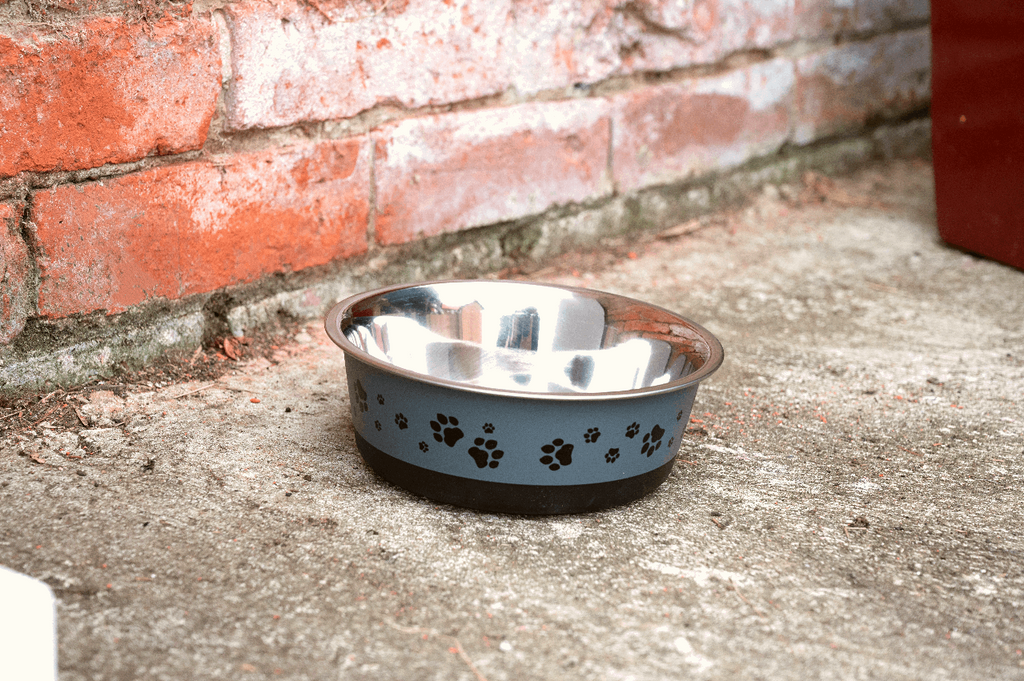 Pet Bowl 1.2 Litre In Cool Grey Geko Products