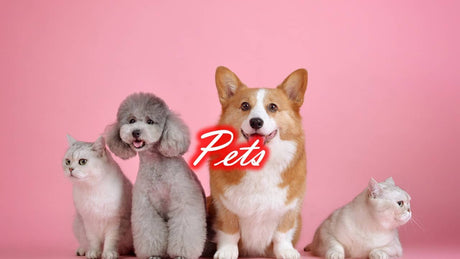 pets,pet accessories,shades4seasons