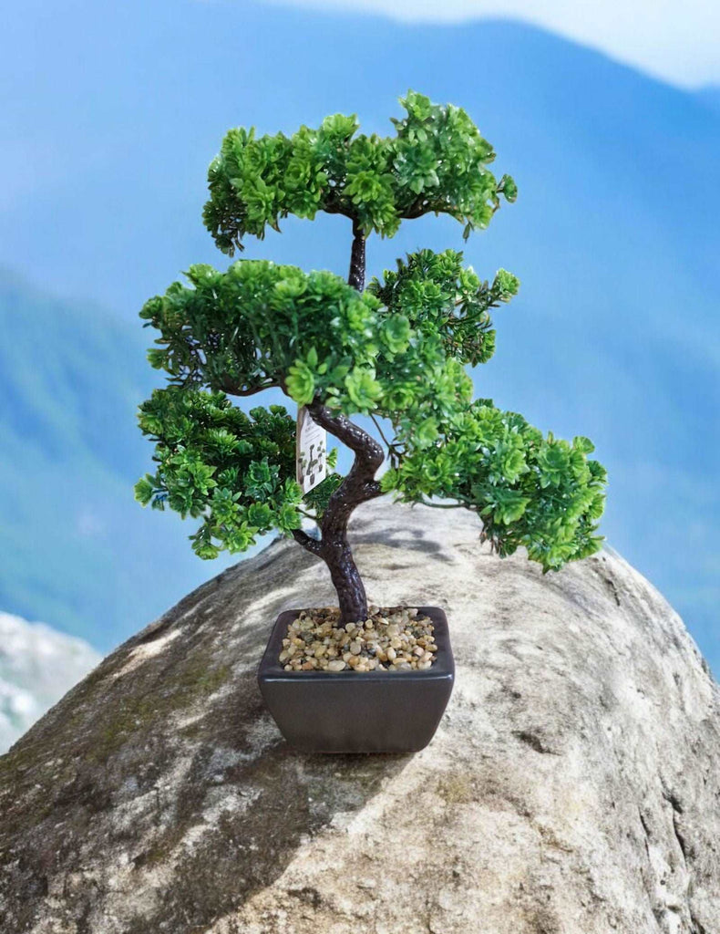 Bonsai Tree Decoration Boxwood 37cm Geko Products