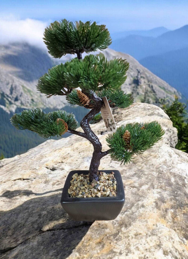 Bonsai Tree Decoration Fir Tree 37cm Geko Products