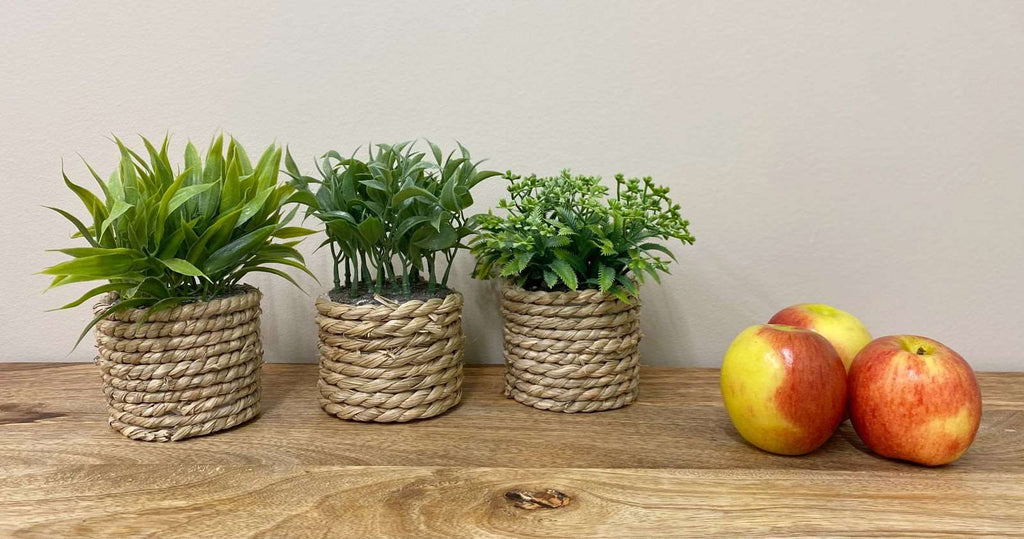 A Set Of Three Rope Effect Pots And Artificial Succulents Geko Products