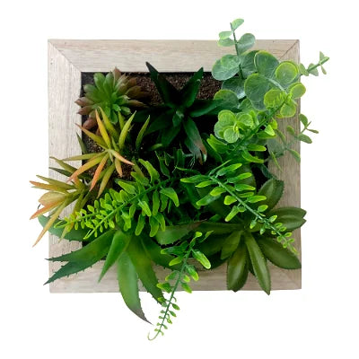 Artificial Succulents In Square Wooden Frame - Shades 4 Seasons
