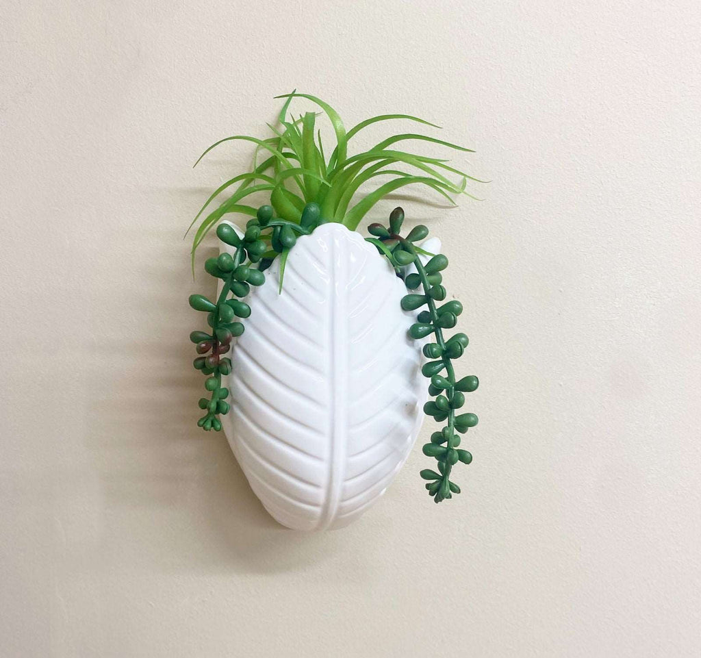 Faux Succulents in Wall Planter Geko Products