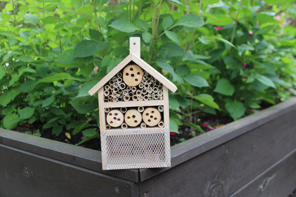 Wooden Insect House Geko Products