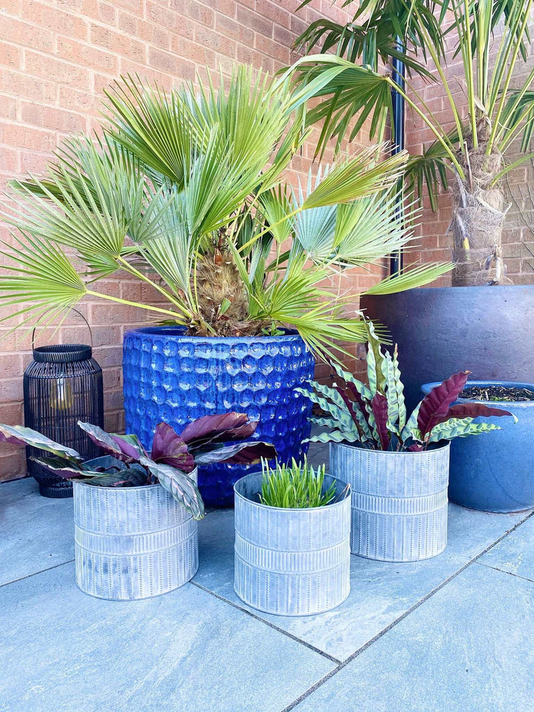 Set of Three Metal Garden Planters Geko Products