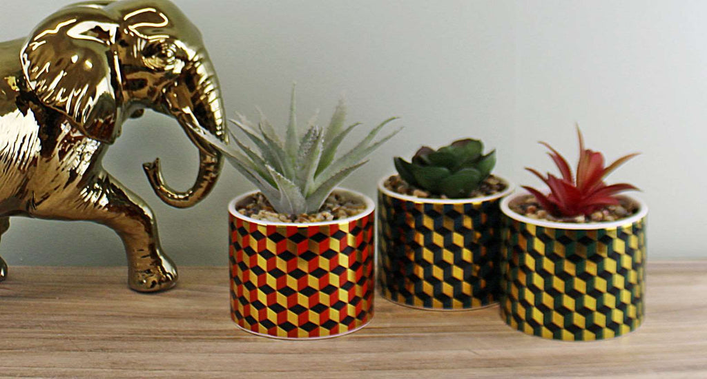 Set of 3 Succulents In Ceramic Pots With A Cubic Design Geko Products